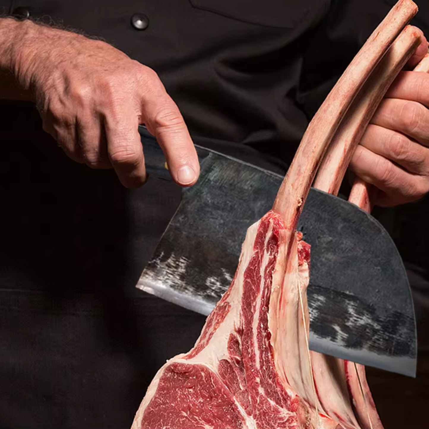 Takeshi Iron Edge Cleaver PDO